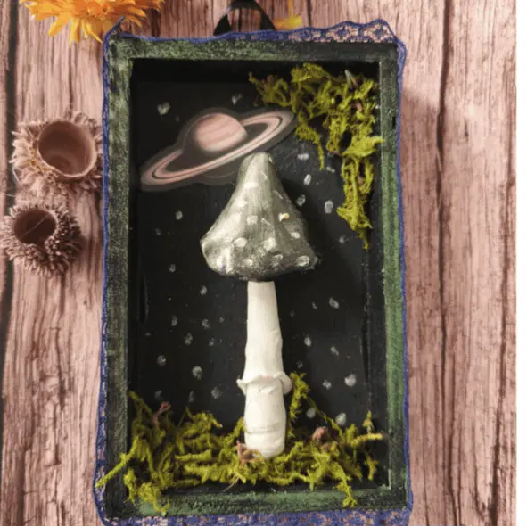 פטריות בחלל