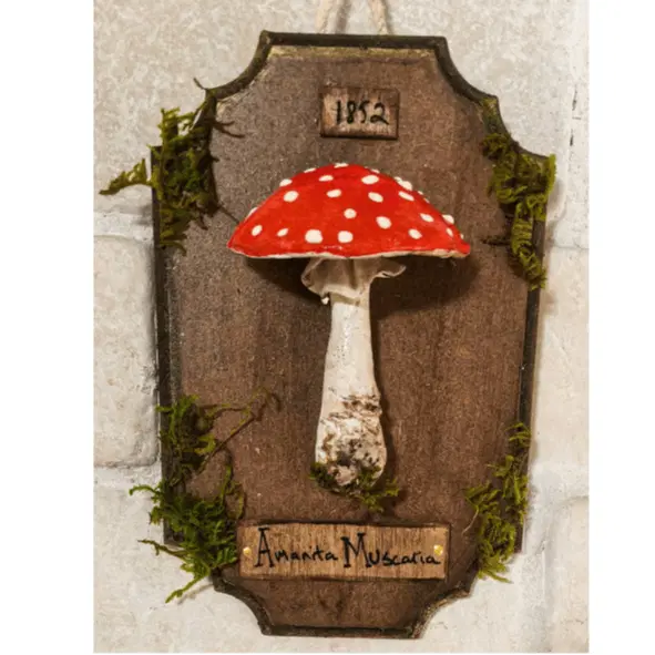 אמניטה מוסכריה על מסגרת עץ