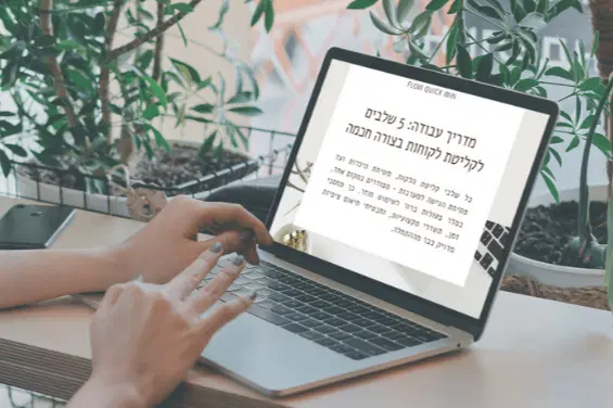 מדריך עבודה FLOW