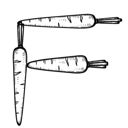 לוגו של אפרת פרגון