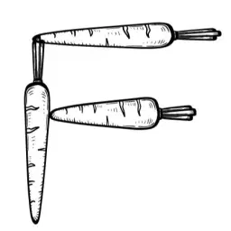 לוגו של אפרת פרגון