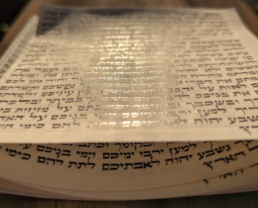 הראל סתמ