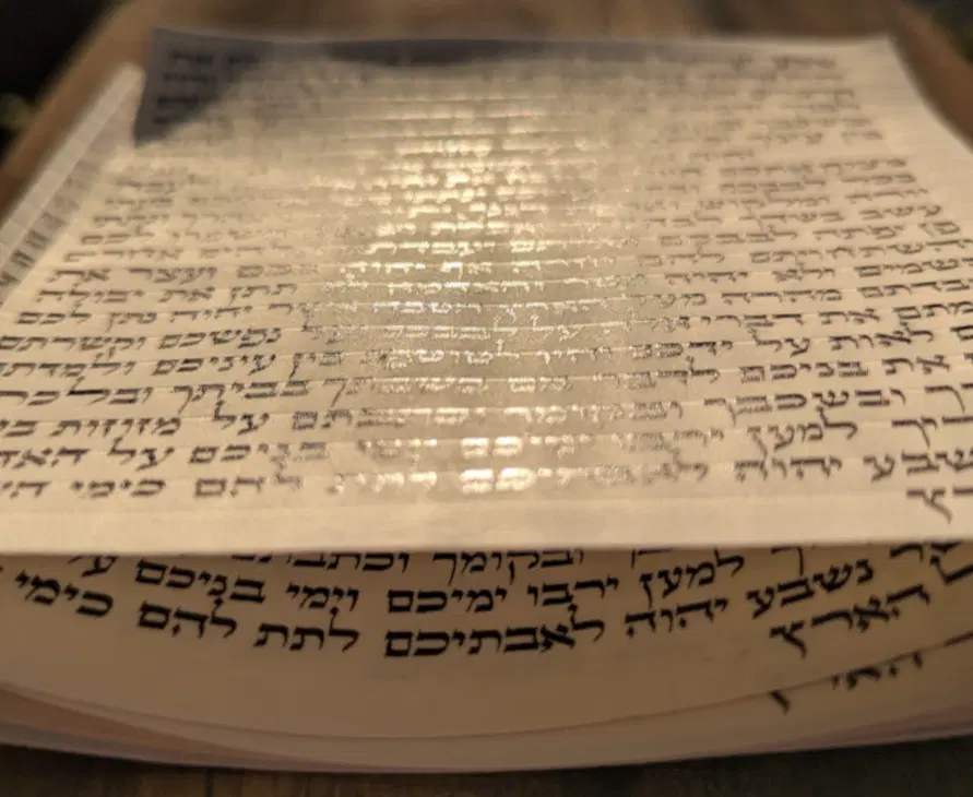 הראל סתמ
