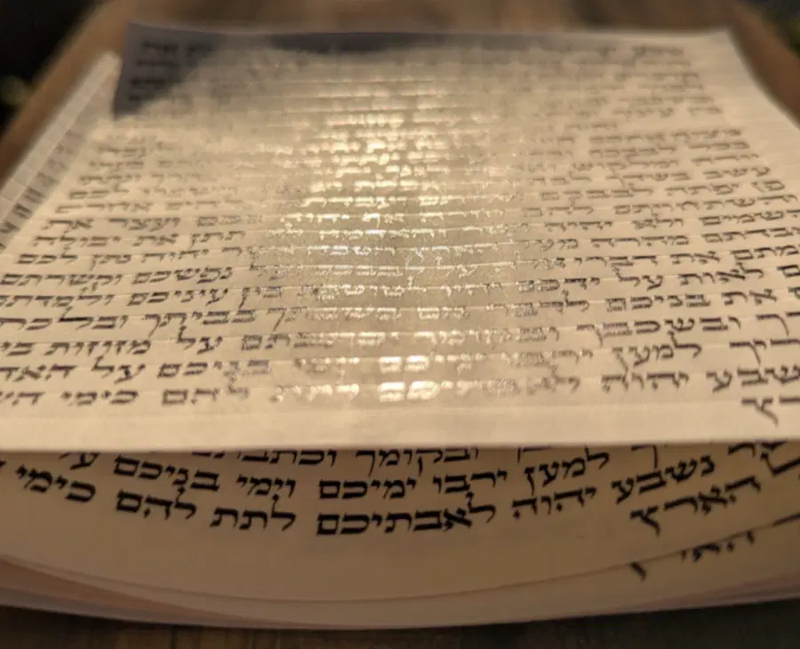 הראל סתמ