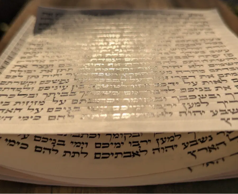 הראל סתמ
