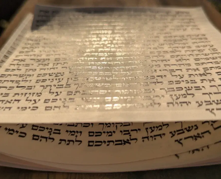 הראל סתמ