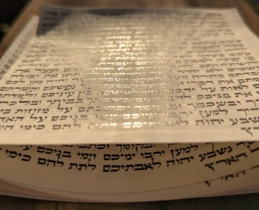הראל סתמ