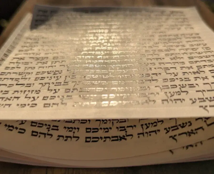 הראל סתמ