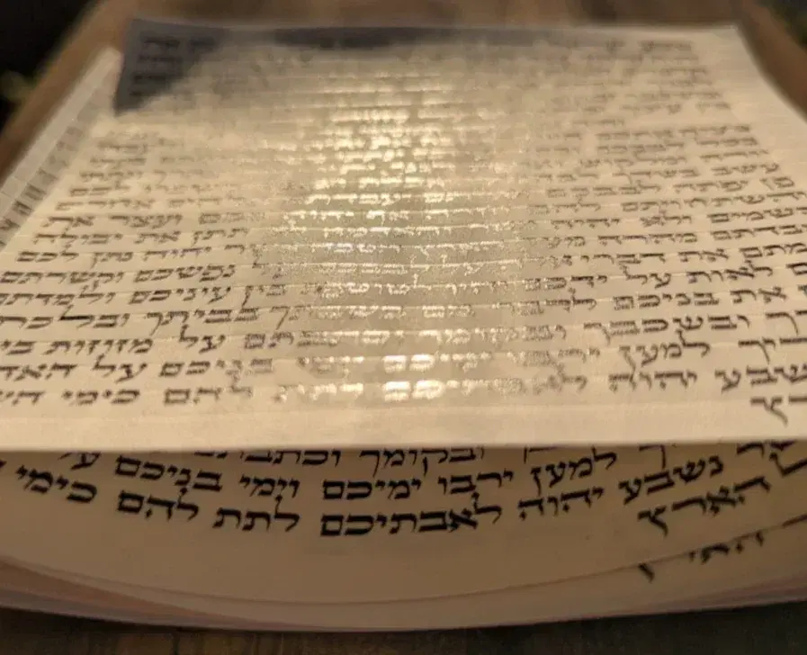 הראל סתמ