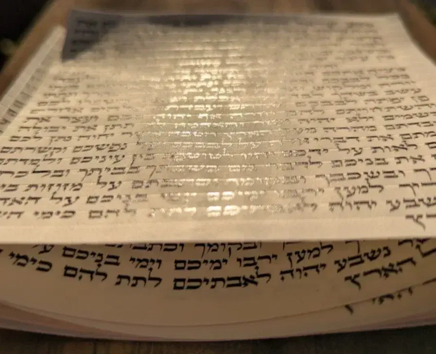 הראל סתמ