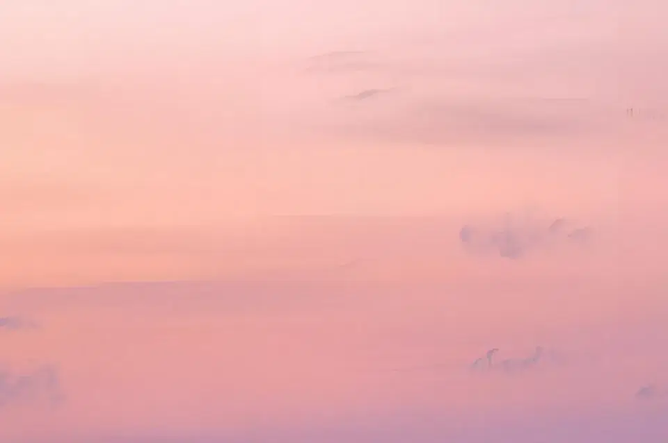 שורשים בשמים מאת משה רם