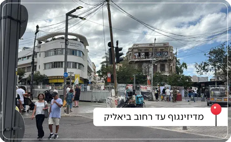מדיזינגוף לביאליק