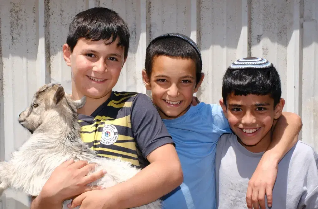 ילדי שילה בטיפול בבעלי חיים