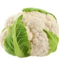 כרובית 3 יחידות