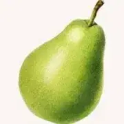 אגס ישראלי כקילו וחצי