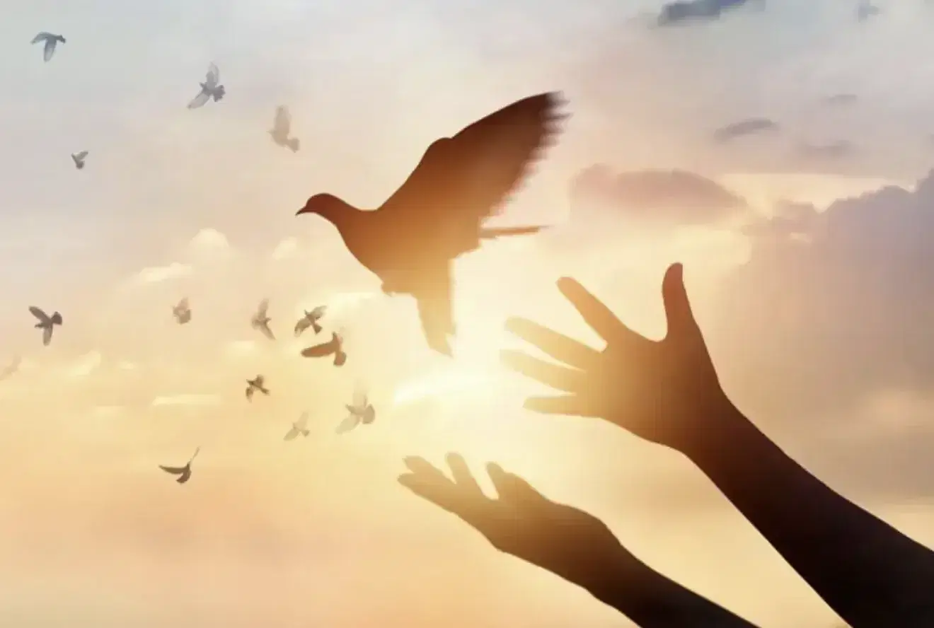 יונים רקע אופטימי