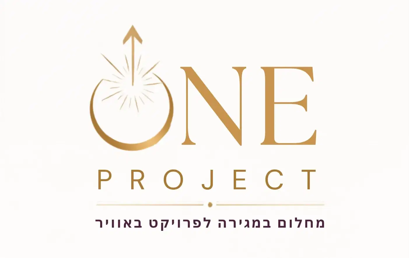 תוכנית ליווי one project