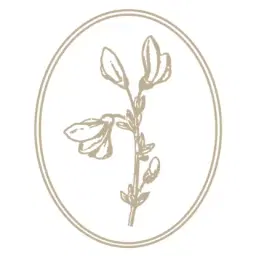 לוגו של רותם כץ אדריכלות וצילום