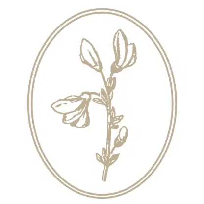 קורס צילום לייפסטייל- רגיל