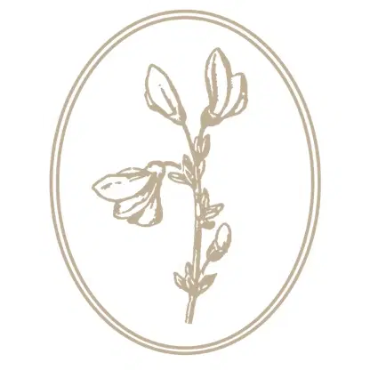 קורס צילום לייפסטייל- פרימיום