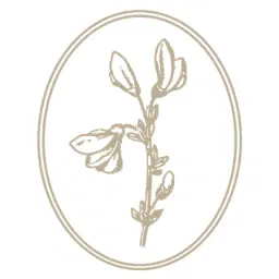 לוגו של רותם כץ אדריכלות וצילום