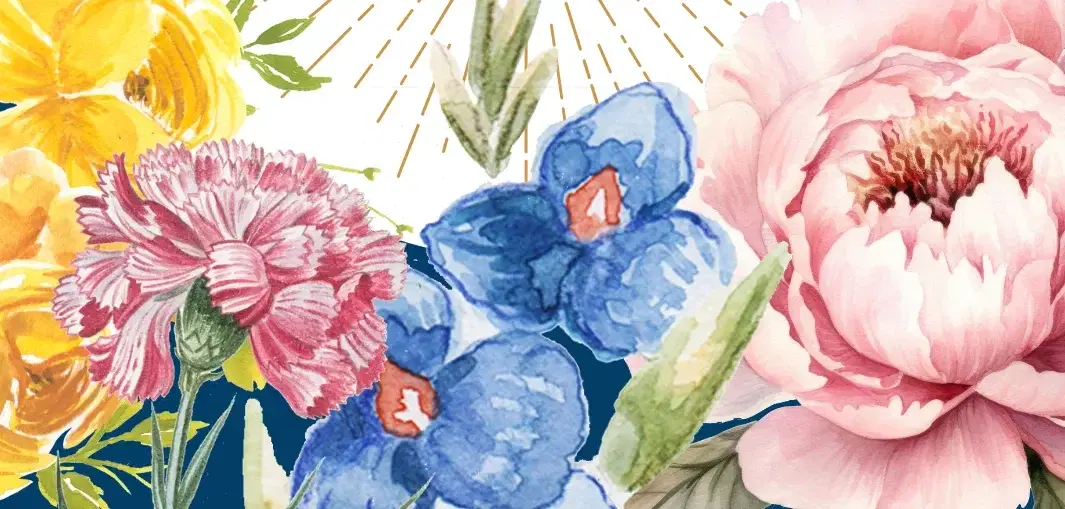 הצטרפות למאגר הרווקים