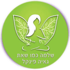 קורס דיגיטלי לאכול בשקט
