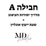 חבילה A  מדריך יסודות העיצוב, שעת ייעוץ אונליין