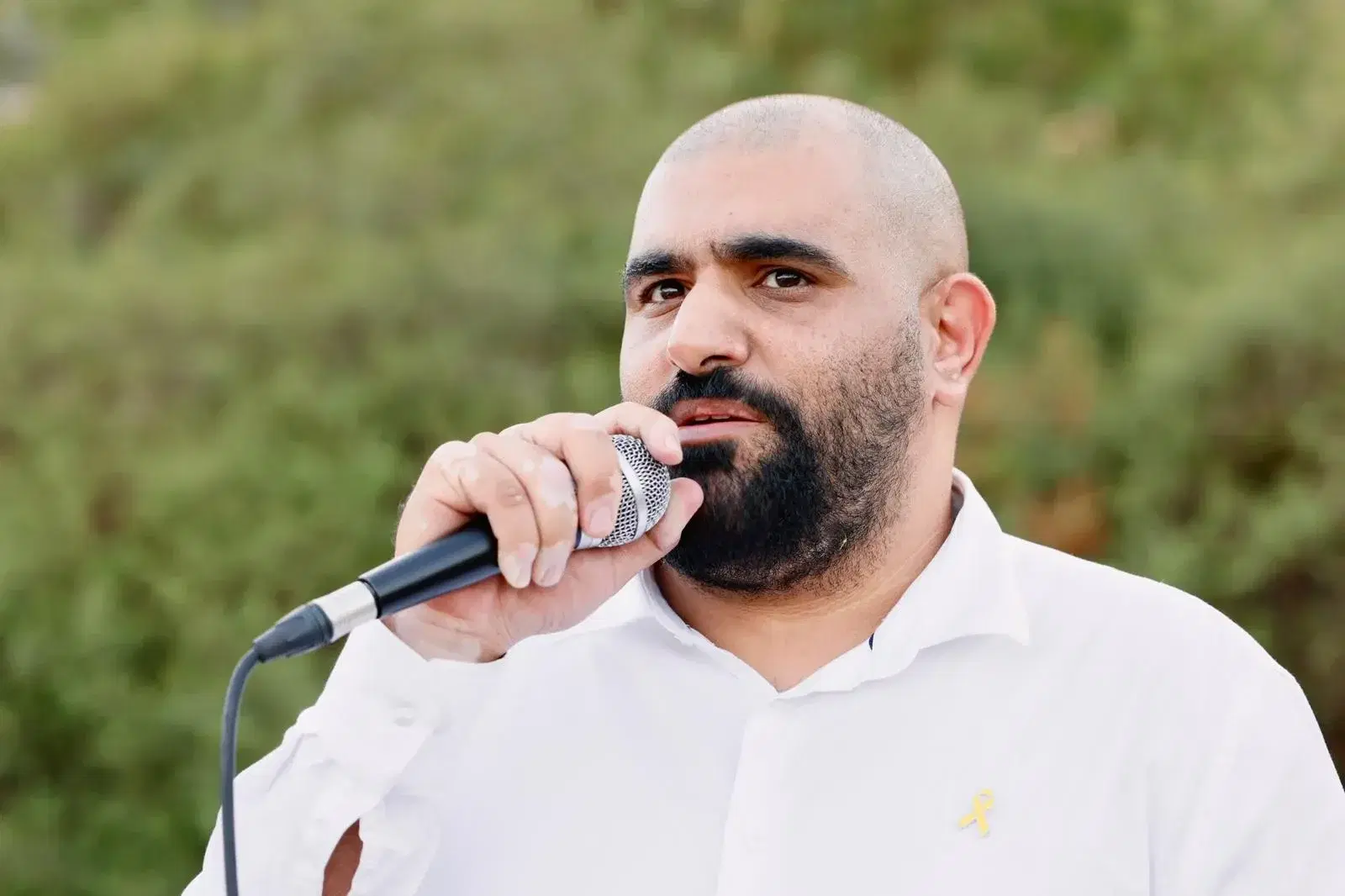 גאלב סלאמנה גאלב סלאמנה