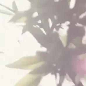לוגו של עירית קיי, ייעוץ רוחני וריפוי אנרגטי בכלים של תקשור