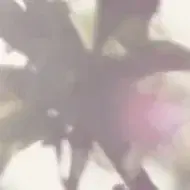 מפגש בקבוצה