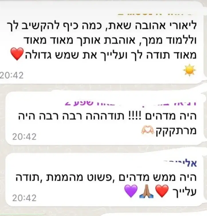 מה מספרות על ההרצאה מה מספרות על ההרצאה
