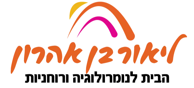 לוגו של ליאור בן אהרון