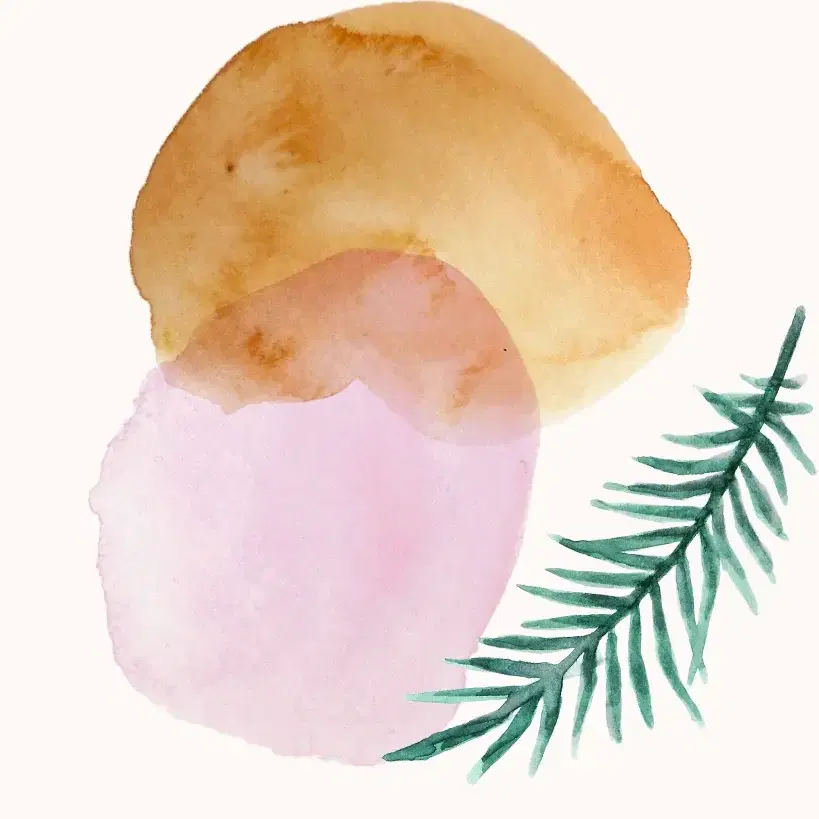 מפגש בודד - בתאריך ה - 25.8 להתחבר למעיין היצירה