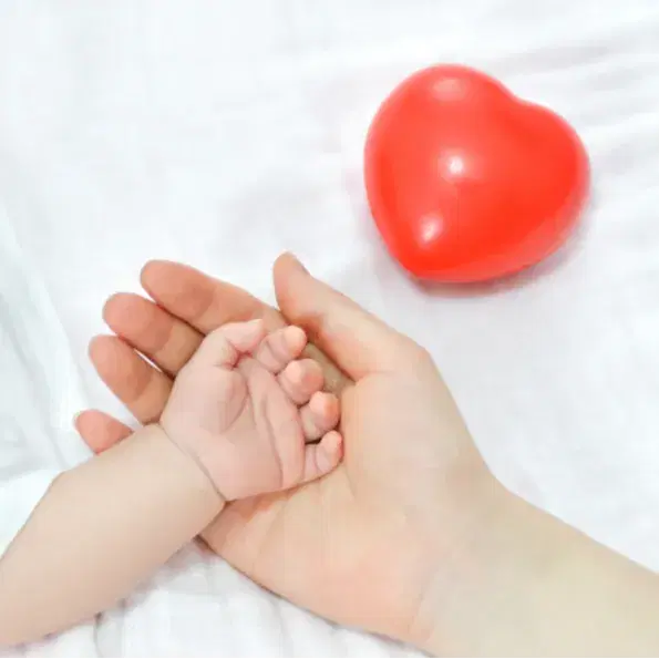 קורס פרונטלי