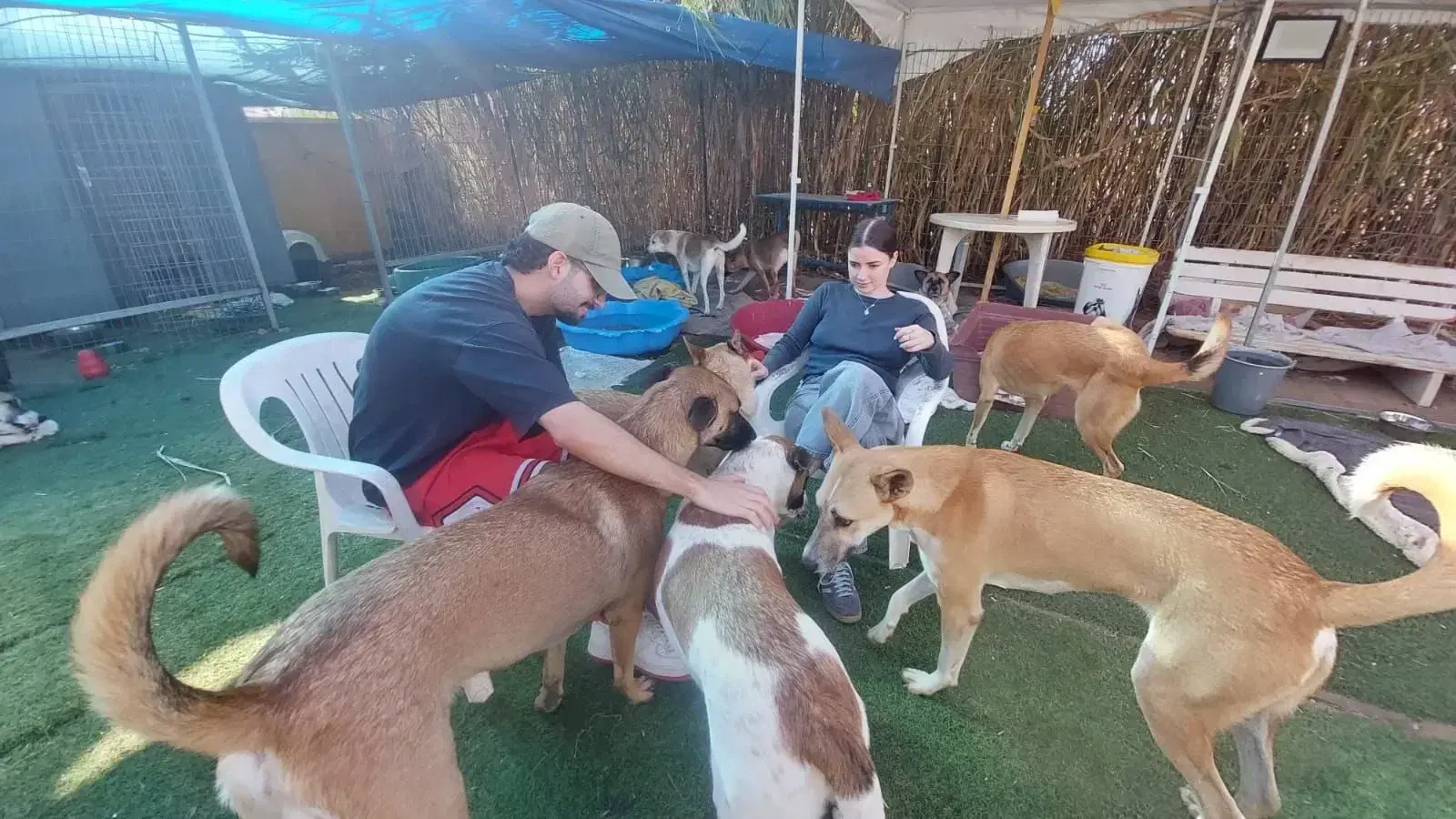 ביקור בבית המחסה ביקור בבית המחסה