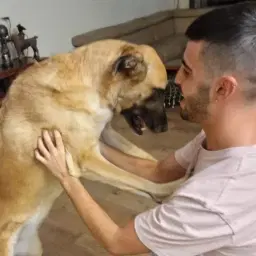 לוגו של חיים של אחרים