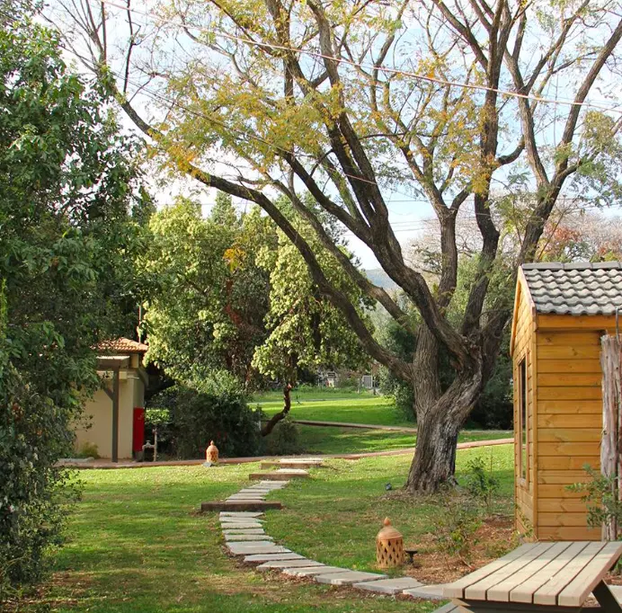 מורן סלונס מורן סלונס