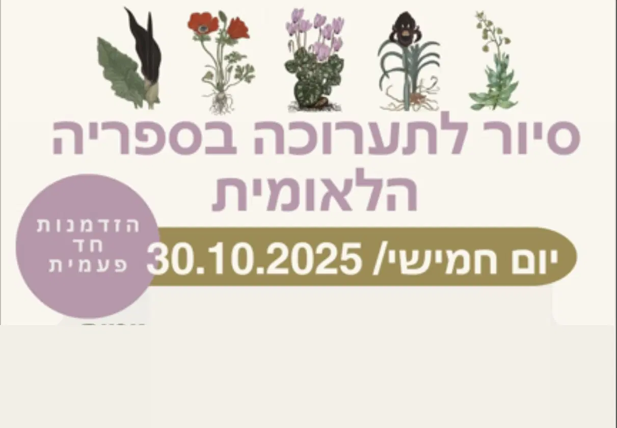 סיור לירושלים סיור לירושלים