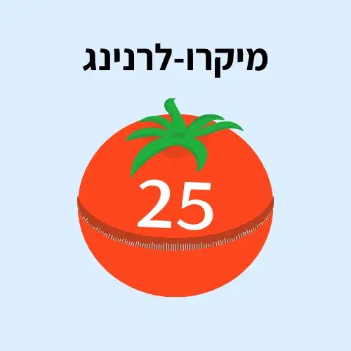 מיקרולרנינג מיקרולרנינג