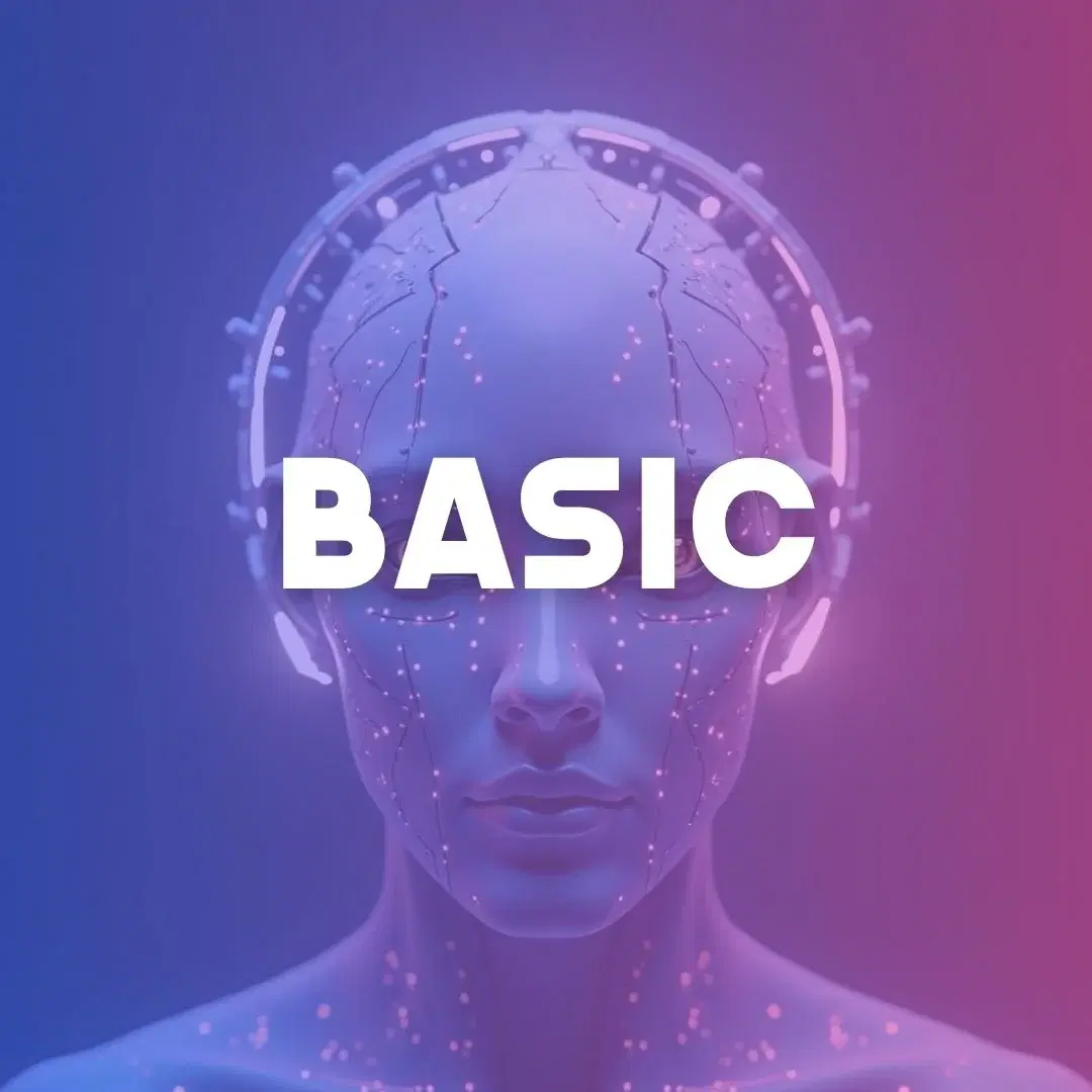 חבילת Basic