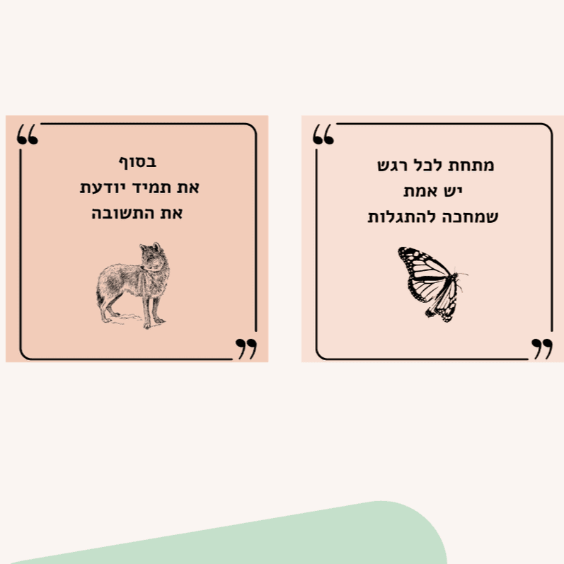 10 מגנטים לבחירה. תוכל.י לציין איזה בעמוד הבא