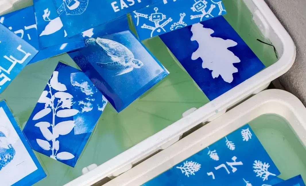 sunprinting2 sunprinting2