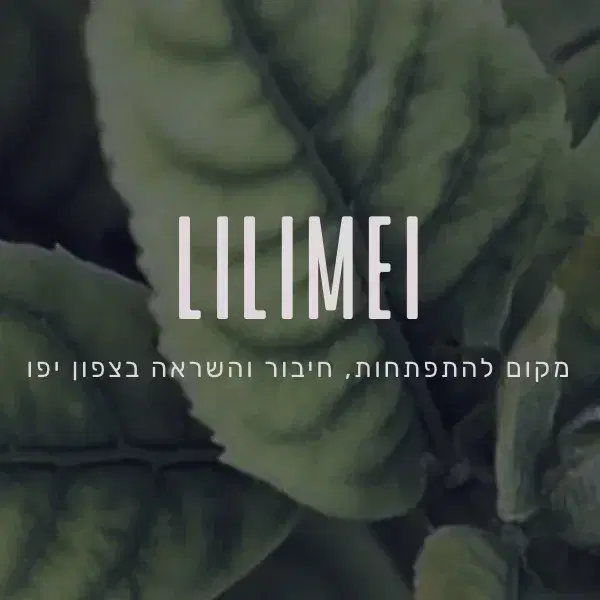 לוגו של לילימיי