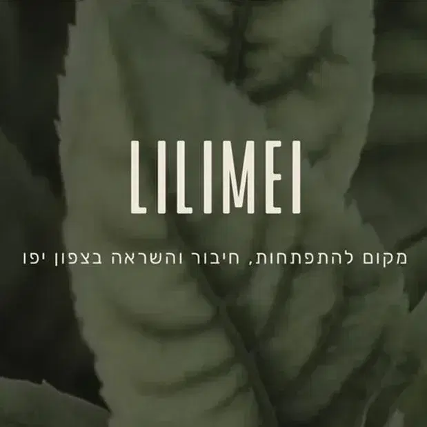 מועדון חברים לילימיי
