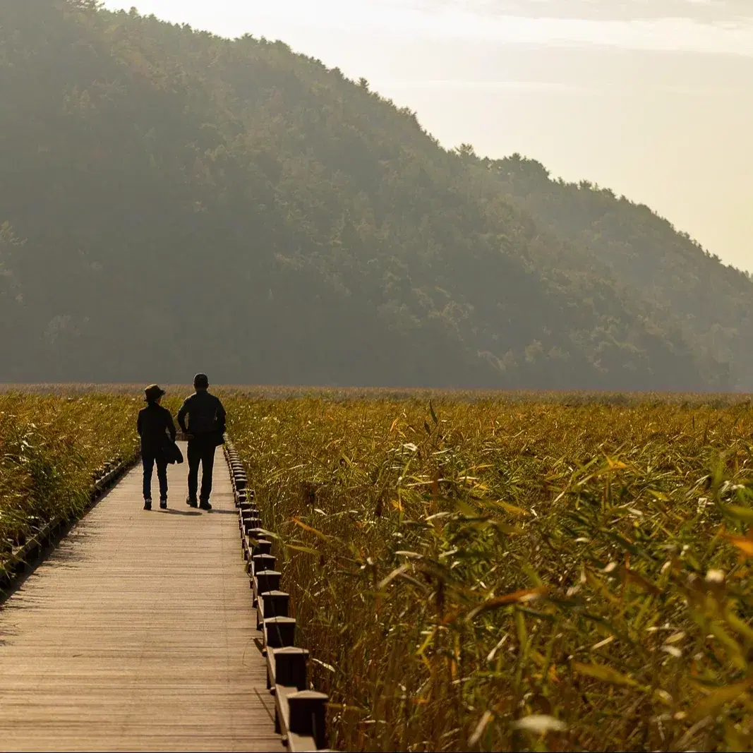 ריטריט יומי