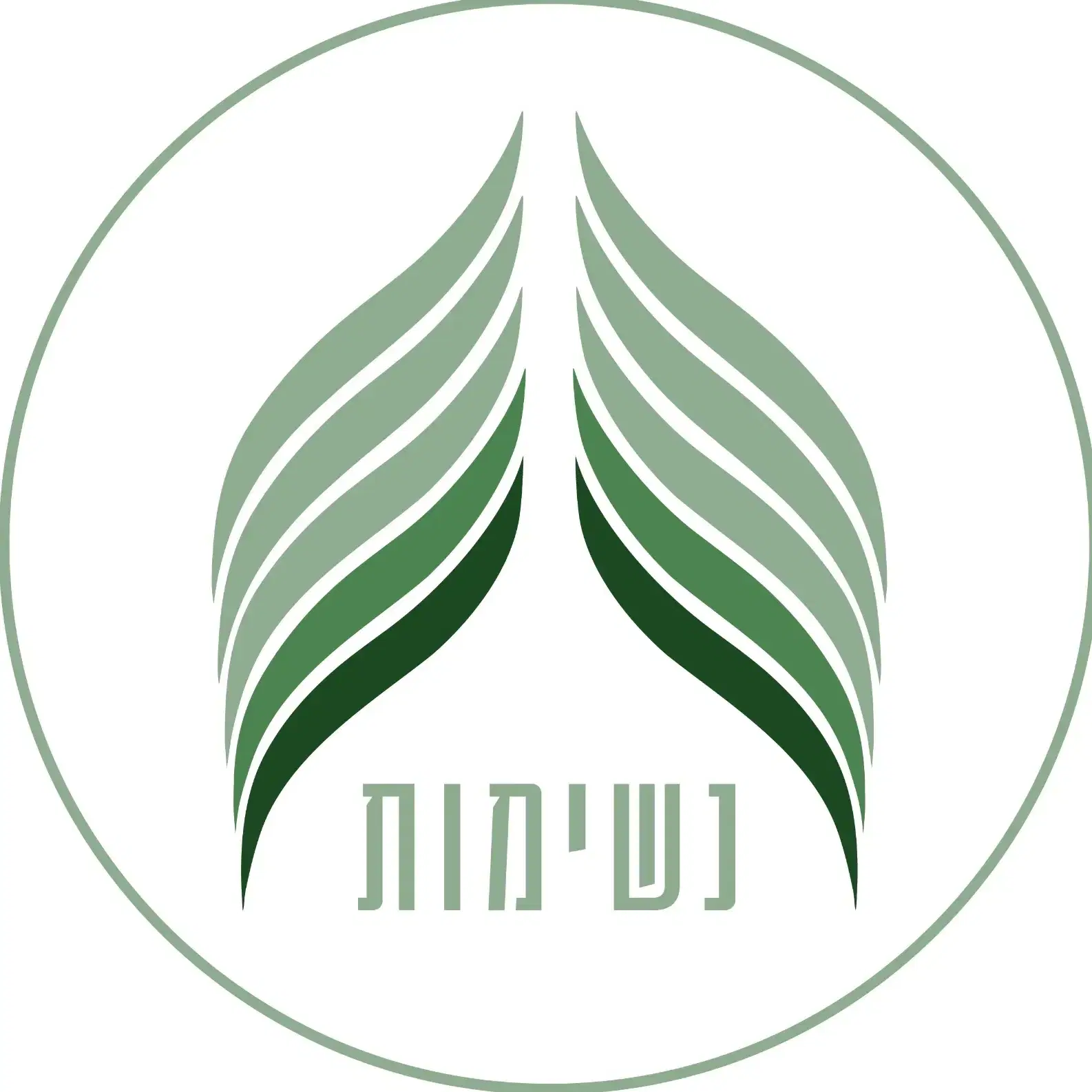 מפגש נשימה מודעת