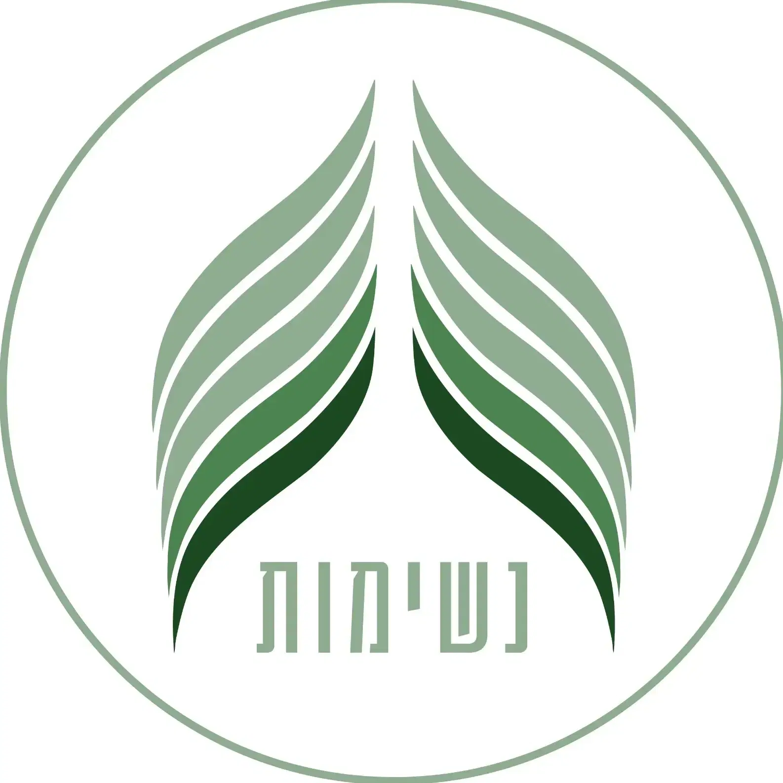 הרצליה מפגש נשים - נשימה, הגשמה, מיניות