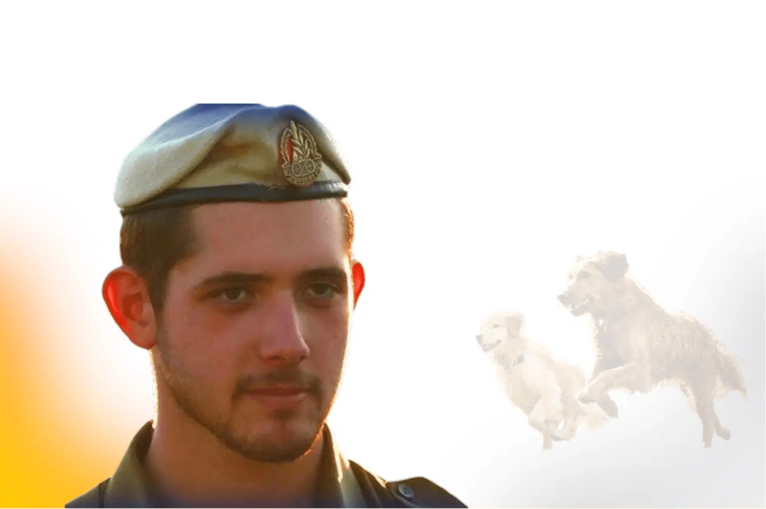 נטע ברעם נטע ברעם