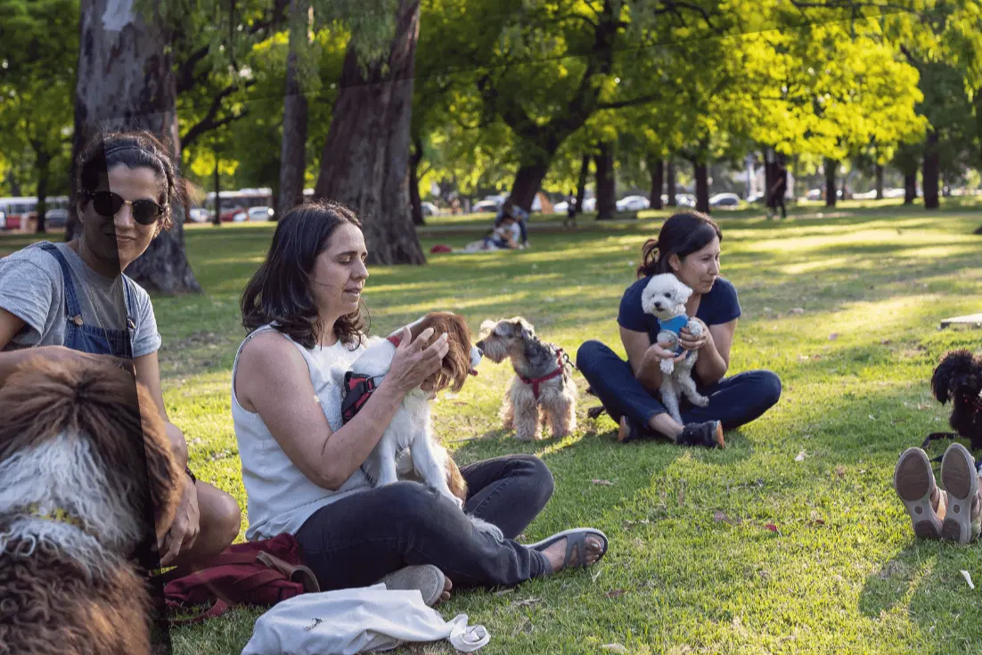 נטע ברעם נטע ברעם